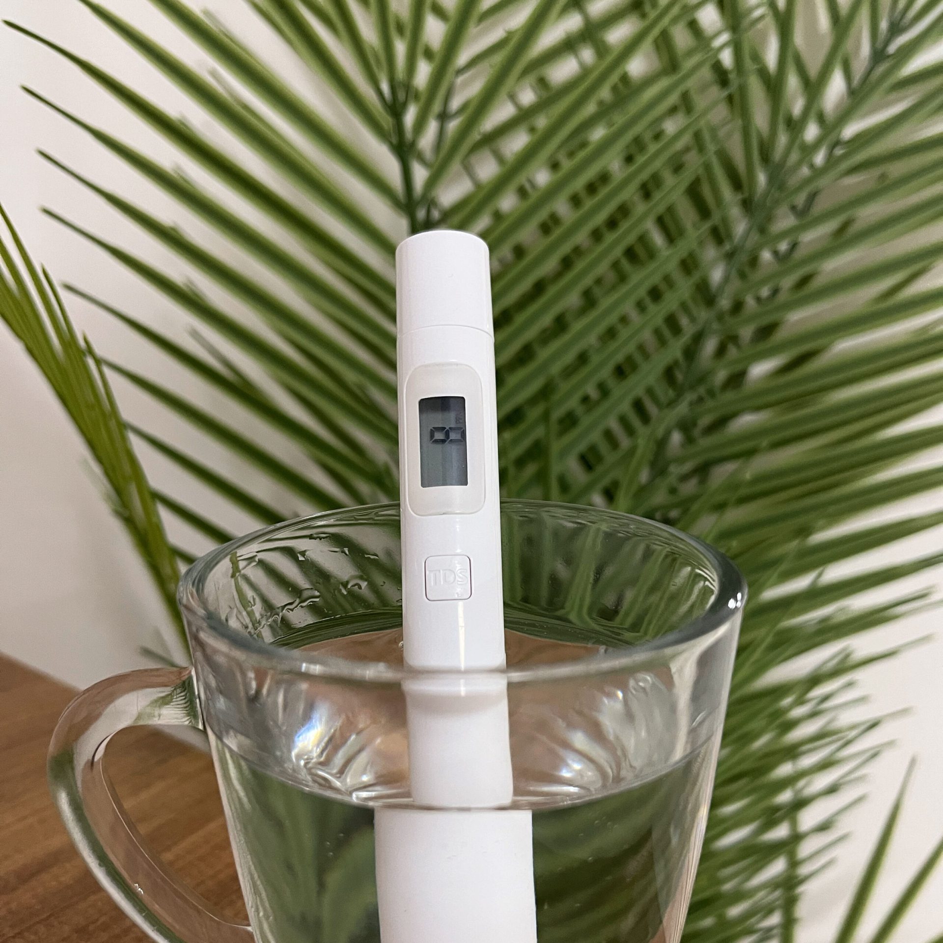 Knmaster TDS METRE scaled