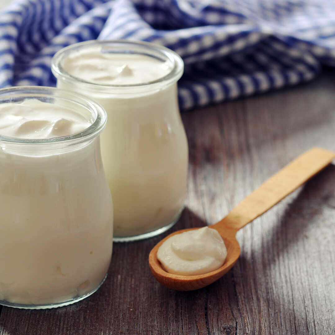 mayalama yogurt