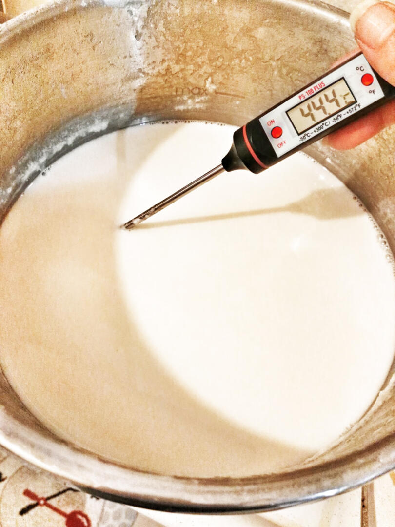 yogurt mayalama
